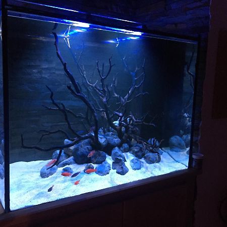 Apartmán Aquarium House Sesimbra Exteriér fotografie