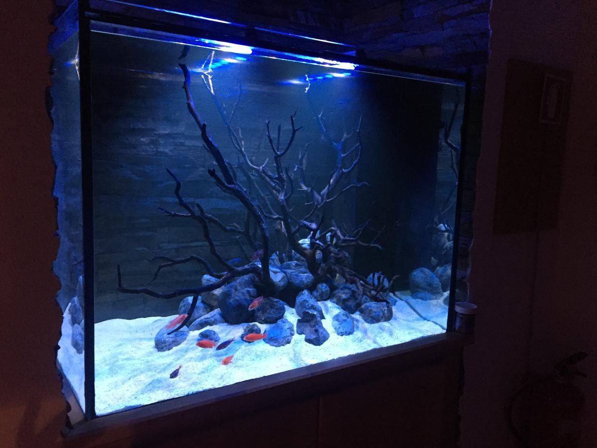 Apartmán Aquarium House Sesimbra Exteriér fotografie
